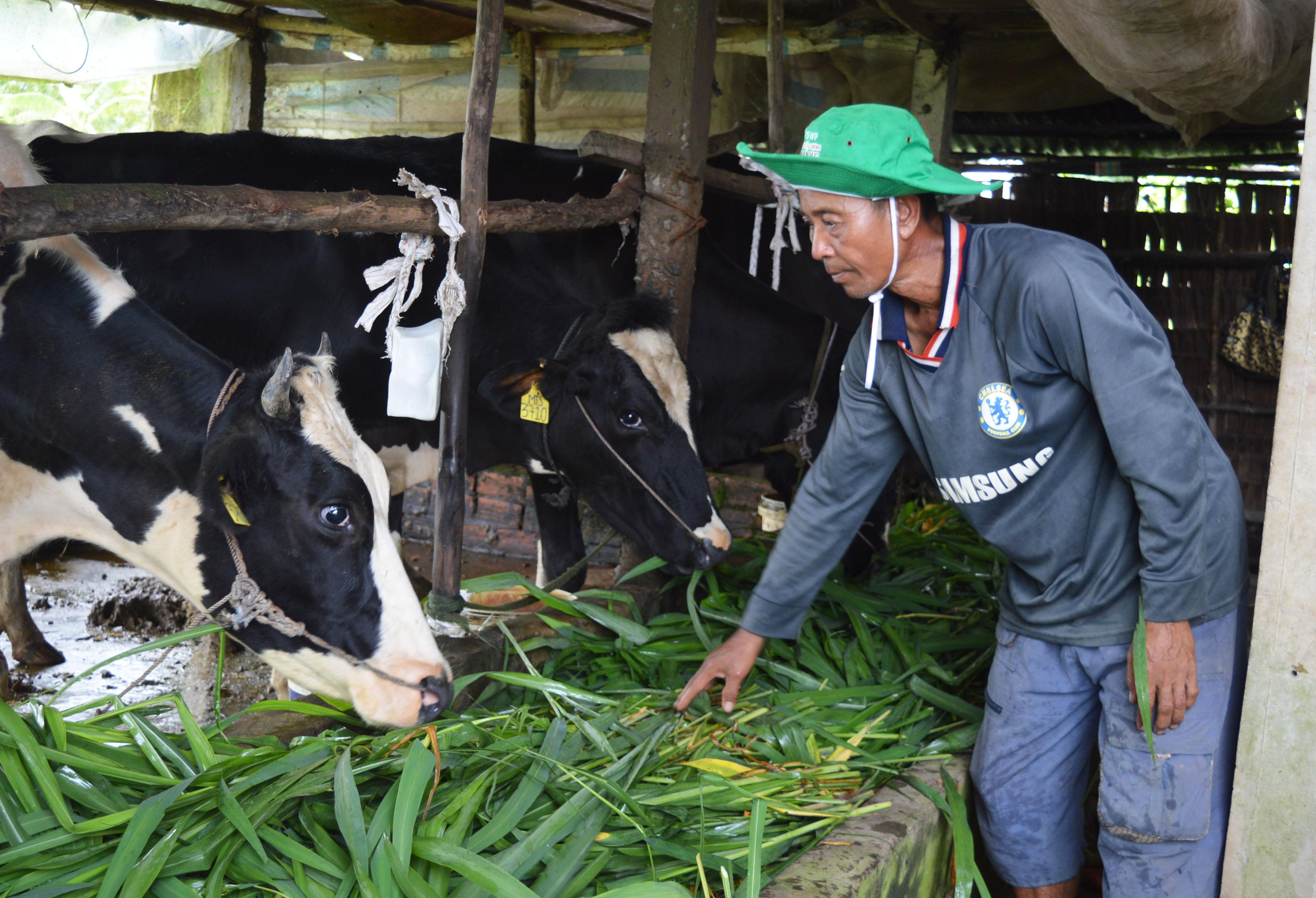 Đẩy mạnh công tác chính sách, chăm lo cho đồng bào dân tộc thiểu số